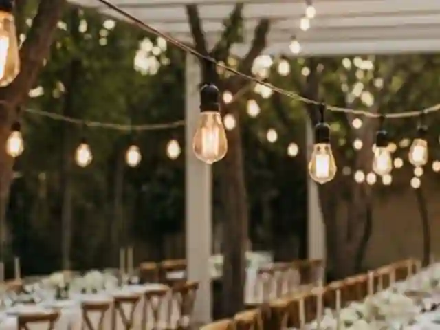 Renta de Mesas Picnic para Eventos: Guía Completa